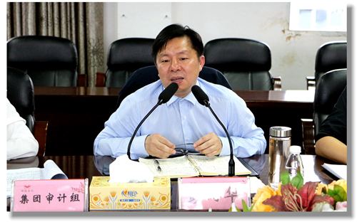 集團黨委委員、紀委書記彭向華強調審計整改工作要深挖思想根源(圖2)