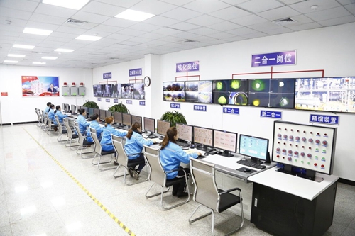 熱火朝天！集團(tuán)總部140余人到股份公司氯堿分廠開展勞動(圖4)