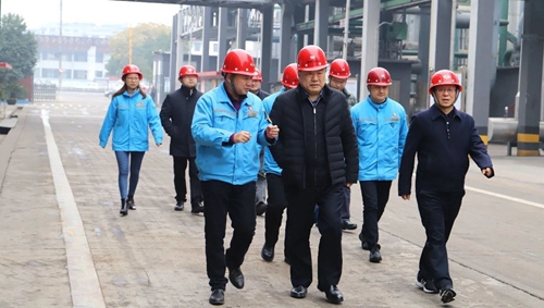 袁衛(wèi)東到股份、楚星和新項目現(xiàn)場調(diào)研(圖1)