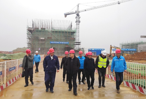 袁衛(wèi)東到股份、楚星和新項目現(xiàn)場調(diào)研(圖3)