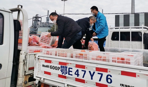 情義無價(jià)！山西蘭花公司采購一批生活物資馳援宜化(圖3)