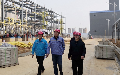 王大真到松滋肥業(yè)、楚星公司、新材料公司和股份公司現(xiàn)場調(diào)研(圖3)