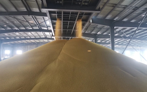 新年新氣象！楚星公司黃色磷酸二銨產(chǎn)品成功下線(圖1)