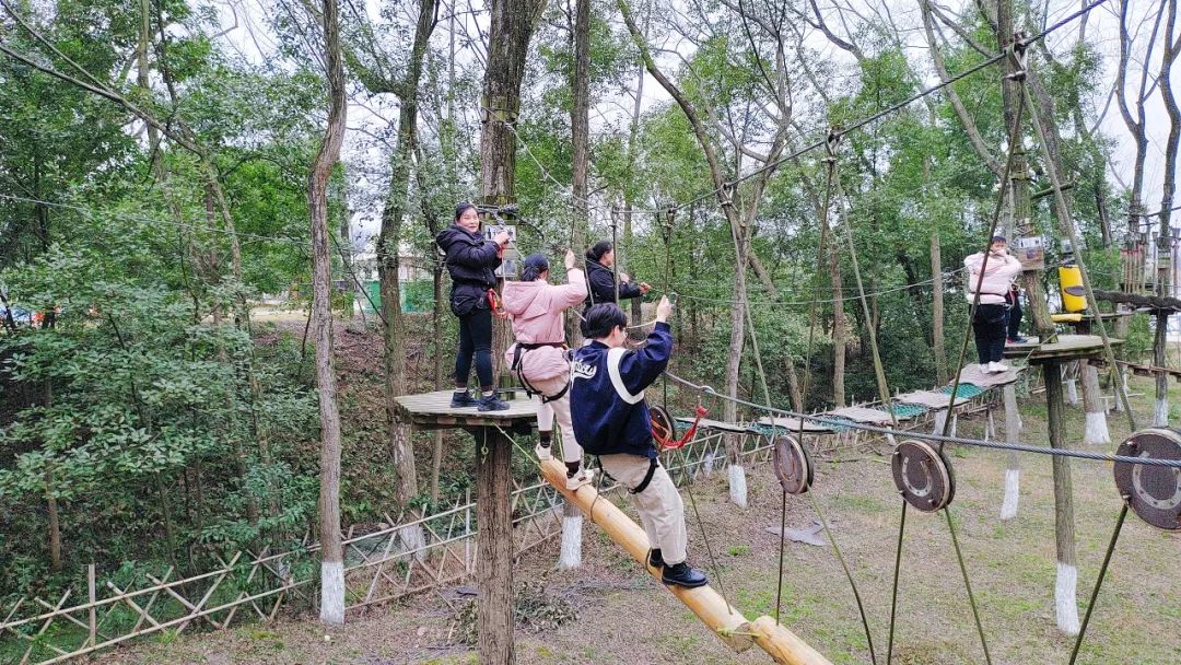 【三八特輯】春日有約共赴芳華！楚星公司開(kāi)展“三八”婦女節(jié)系列活動(dòng)(圖4)