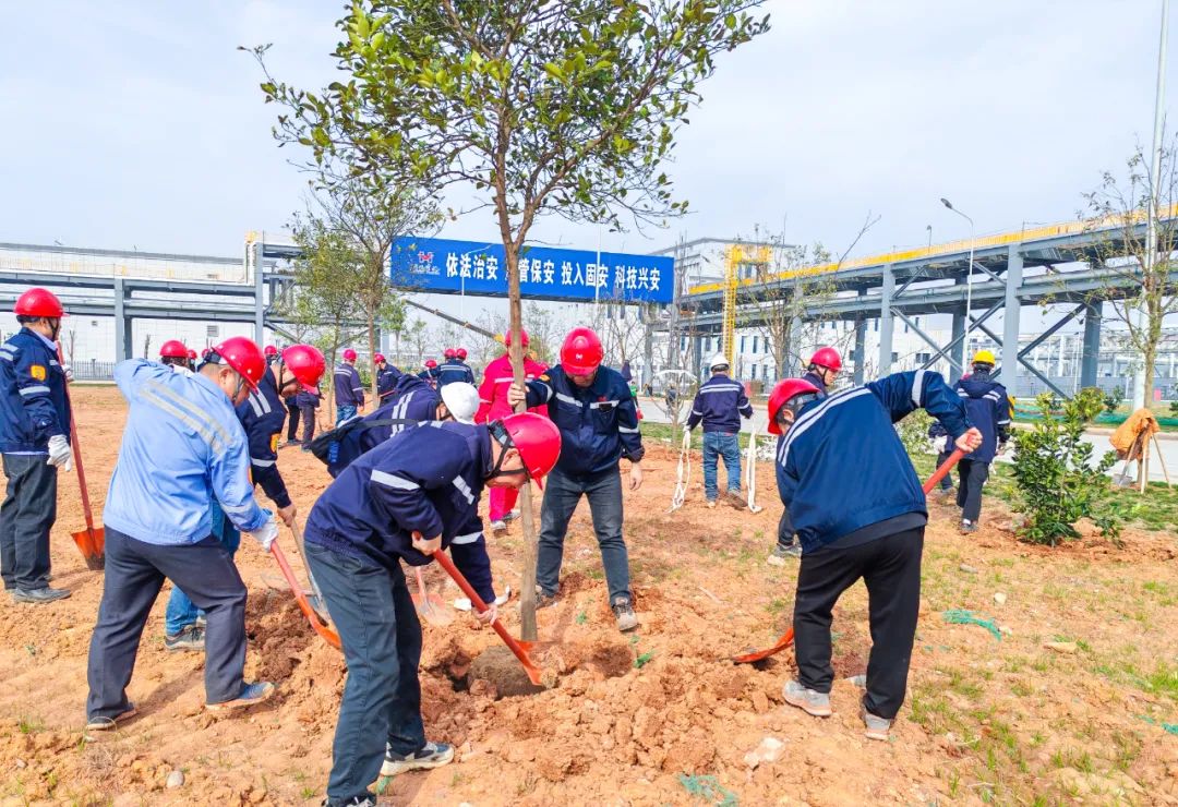 “植”此青綠共“樹”未來(lái)！集團(tuán)各公司開展植樹活動(dòng)(圖8)