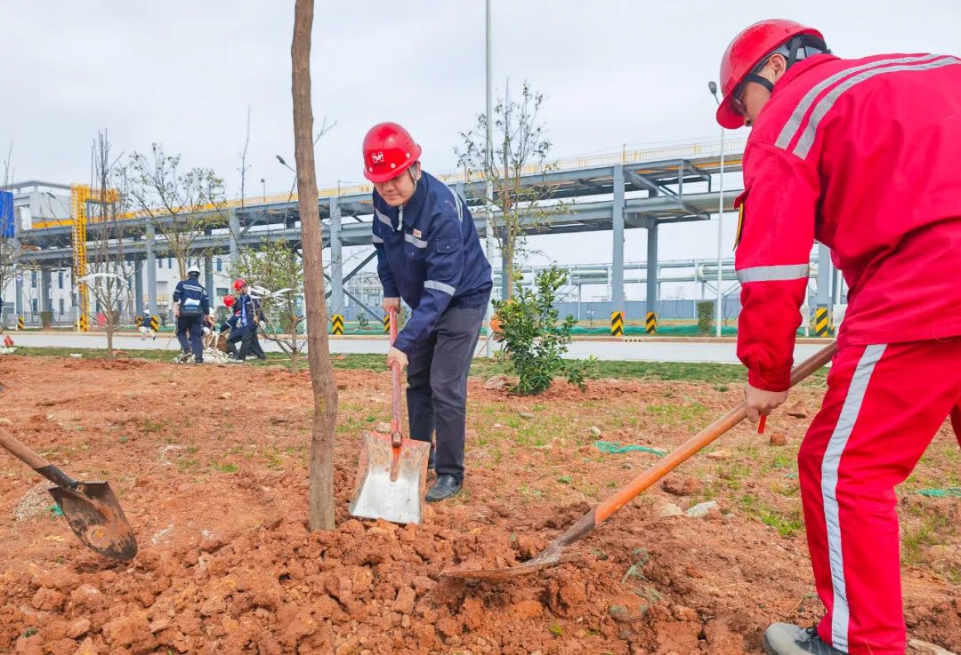 “植”此青綠共“樹”未來(lái)！集團(tuán)各公司開展植樹活動(dòng)(圖11)