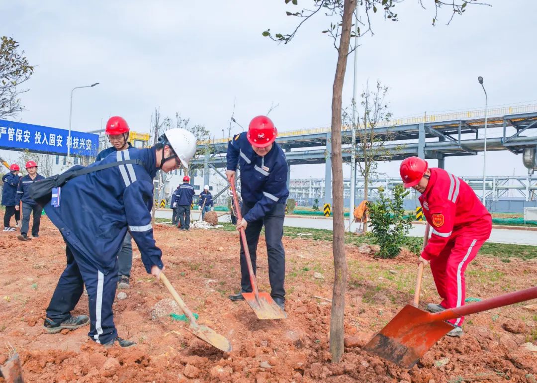 “植”此青綠共“樹”未來(lái)！集團(tuán)各公司開展植樹活動(dòng)(圖10)