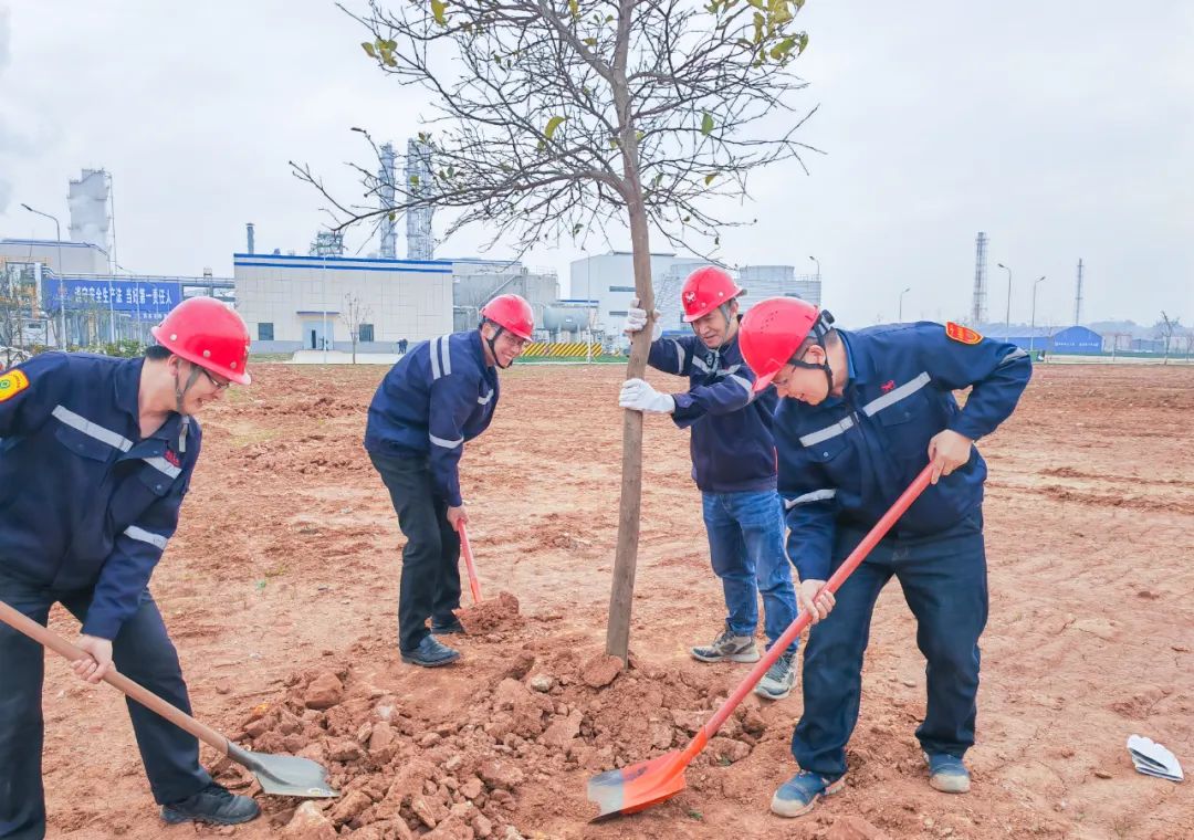 “植”此青綠共“樹”未來(lái)！集團(tuán)各公司開展植樹活動(dòng)(圖9)