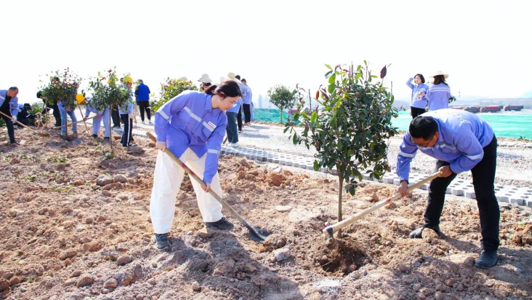 “植”此青綠共“樹”未來(lái)！集團(tuán)各公司開展植樹活動(dòng)(圖16)