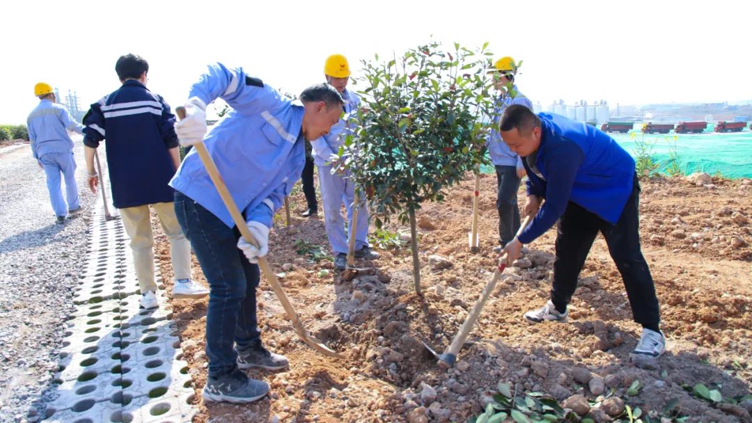 “植”此青綠共“樹”未來(lái)！集團(tuán)各公司開展植樹活動(dòng)(圖14)