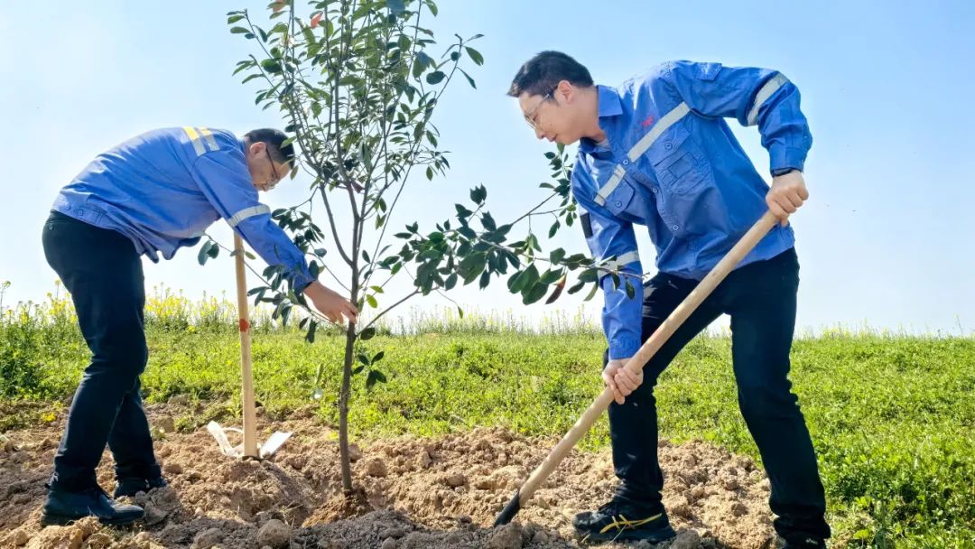 “植”此青綠共“樹”未來(lái)！集團(tuán)各公司開展植樹活動(dòng)(圖15)
