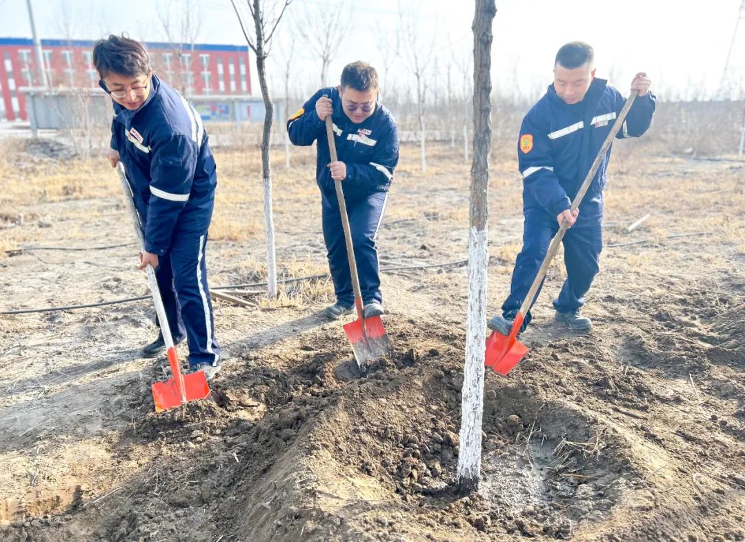 “植”此青綠共“樹”未來(lái)！集團(tuán)各公司開展植樹活動(dòng)(圖20)