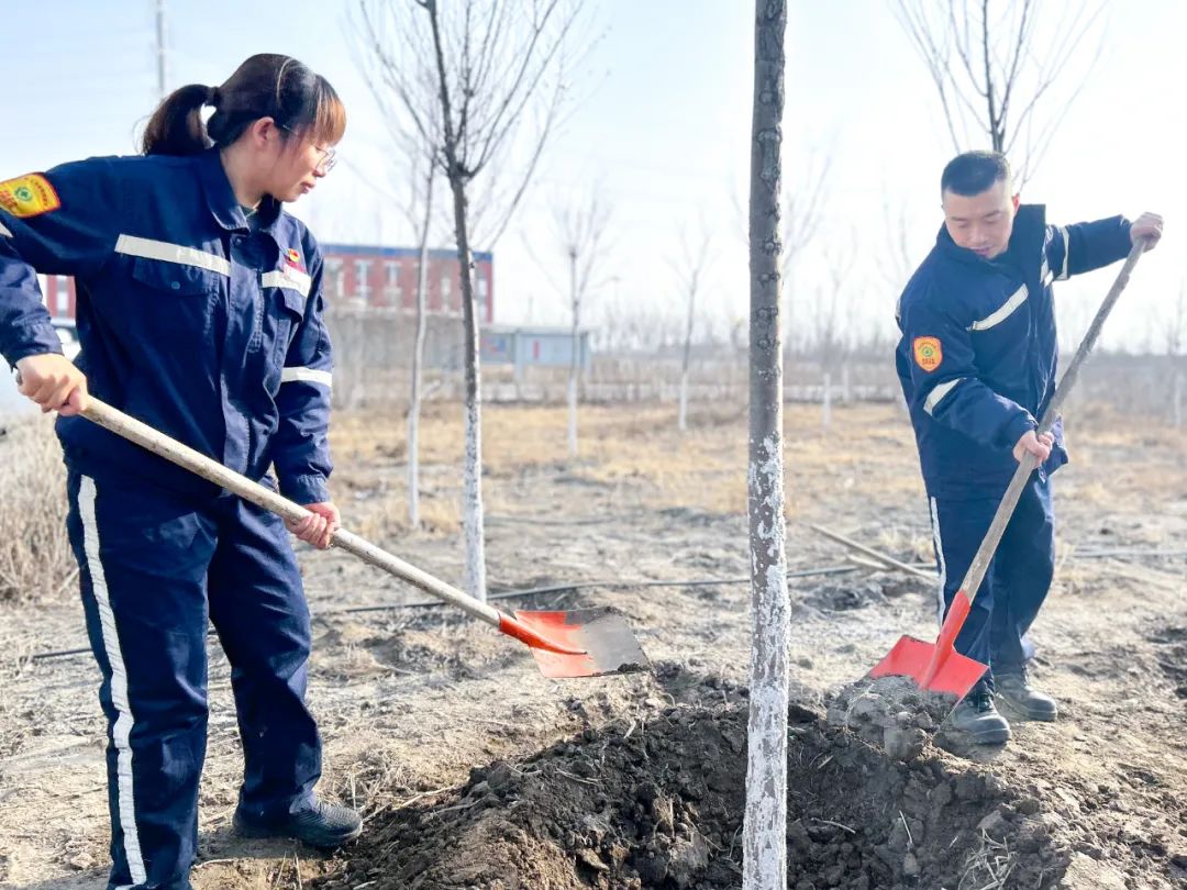 “植”此青綠共“樹”未來(lái)！集團(tuán)各公司開展植樹活動(dòng)(圖21)