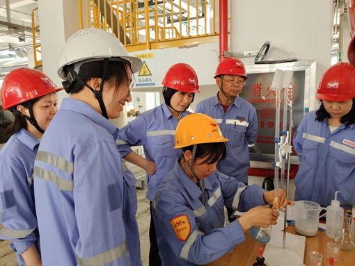 亮身份 亮承諾 亮業(yè)績——宜化黨員一線攻堅助推項目“拔節(jié)生長”(圖1)