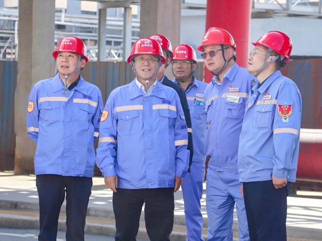 王大真到新疆、青海區(qū)域分子公司現(xiàn)場(chǎng)辦公(圖2)