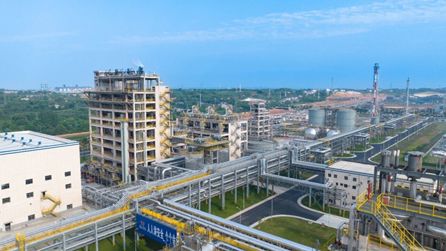 集團兩家單位入選2024年度石化行業(yè)重點產(chǎn)品能效“領跑者”名單(圖1)