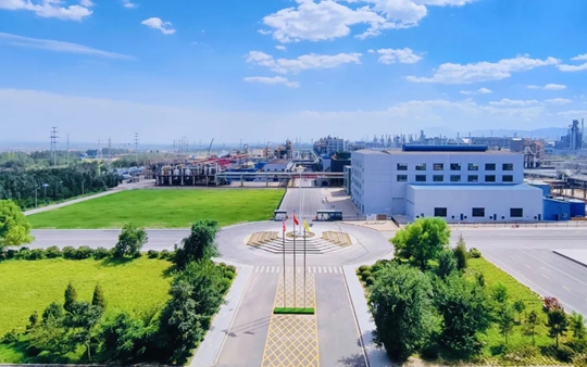 內(nèi)蒙古宜化榮獲自治區(qū)科學(xué)技術(shù)進(jìn)步二等獎(jiǎng)