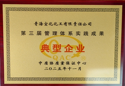 青海宜化獲評(píng) “第三屆管理體系實(shí)踐成果典型企業(yè)”