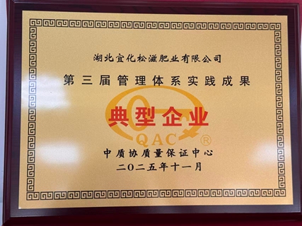 松滋肥業(yè)獲評管理體系實踐成果典型企業(yè)(圖1)