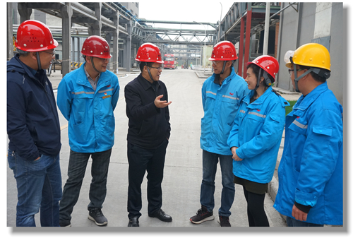 王大真董事長突訪松滋肥業(yè)、宜都園區(qū)、置業(yè)公司和股份公司