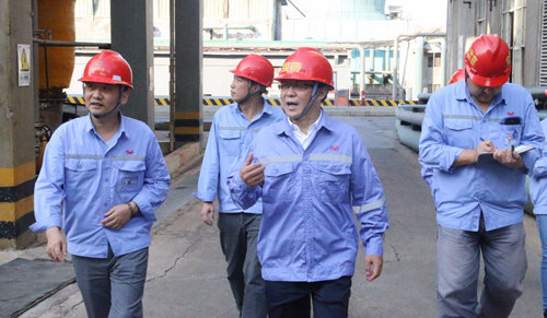 王大真深入雙環(huán)公司現(xiàn)場察看清潔文明生產推進情況