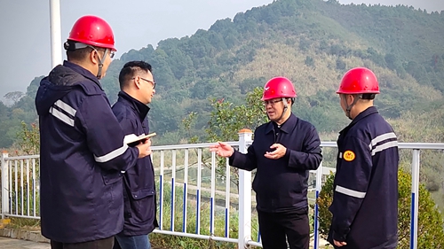 王大真到松滋肥業(yè)、楚星公司、新材料公司和股份公司現(xiàn)場調(diào)研