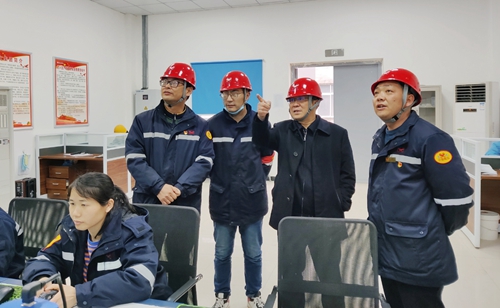 王大真到松滋肥業(yè)、楚星公司現(xiàn)場(chǎng)檢查指導(dǎo)工作