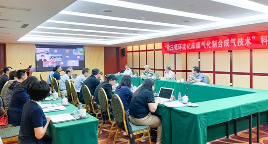 通過鑒定！新疆宜化一項技術(shù)達(dá)國際領(lǐng)先水平！