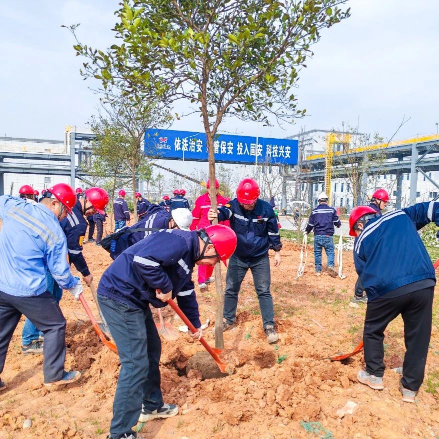 “植”此青綠共“樹(shù)”未來(lái)！集團(tuán)各公司開(kāi)展植樹(shù)活動(dòng)