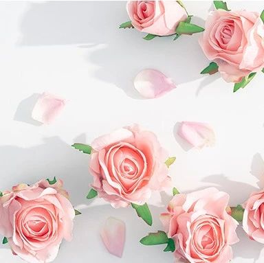 【三八特輯】致敬了不起的宜化“她”力量！